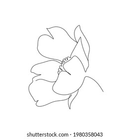 Blüht eine Linie Kunstvektor. Botanischer Linienzeichner minimalistisch