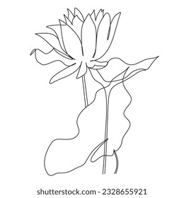 Flowers one line illustration.Vector. Lotus, lavender line drawing.