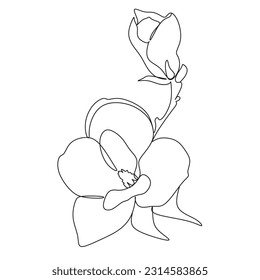 Flowers one line vector art. Magnolia line drawing.  Botanical print. 