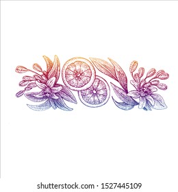 Flowers and oranges. Vector picture. Wedding invitation template, harvest festival, egology concept, vegan food, cafe, restaurant, illustration for orange juice package