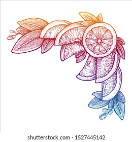 Flowers and oranges. Vector picture. Wedding invitation template, harvest festival, egology concept, vegan food, cafe, restaurant, illustration for orange juice package