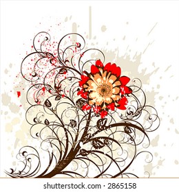 flowers ornament on white grunge background (chrysanthemum)