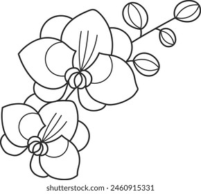 Ilustración vectorial de arte de contorno de flores