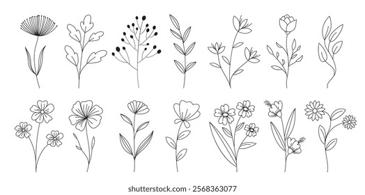 Flowers outline drawing clipart set. Spring flower in black and white hand drawn lines flat clip art elements decoration. Vector illustration floral outline collection.  
