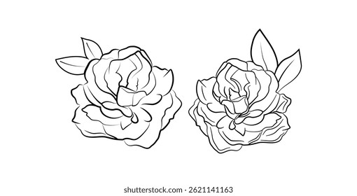 Flowers Outline Hand Drawing, Natural Flowers Black Color Line Art Design.