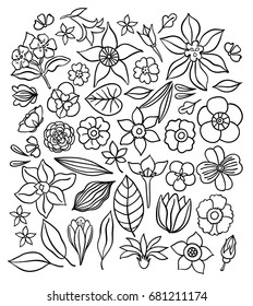 Flowers outline illustration collection. Isolated hand drawn floral silhouette set.