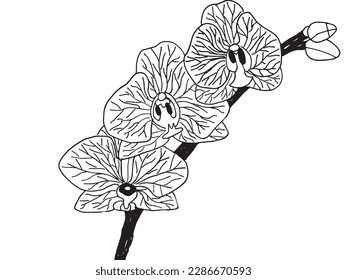 Flowers outline illustration vector image  Hand drawn flower sketch image artwork  Simple original logo icon from pen drawing sketch 