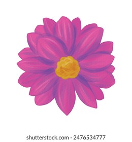 flowers painted with watercolors on white.