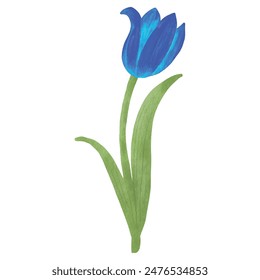 flowers painted with watercolors on white.