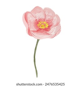flowers painted with watercolors on white.