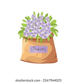 flowers pansies, in paper bag, bouquet, for postcard, banner. Vector.