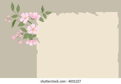 flowers and paper