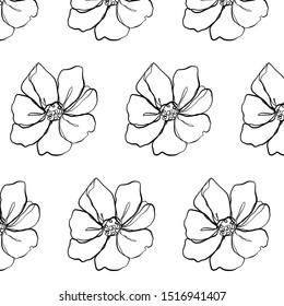 Flowers pattern. Buds drawn by one continuous line. Graphic minimal texture. Black and white background in botanic nature style. 