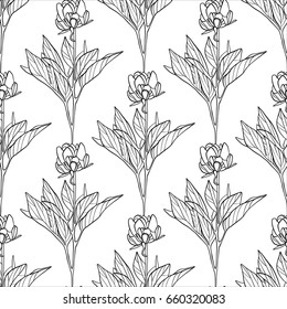 Flowers pattern, design, backgrounds, vector illustration  