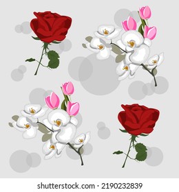 Imágenes de patrones de flores, sin soldadura, rosa, orquídeas y tulipanes