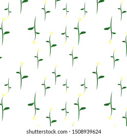 Flowers pattern on white background