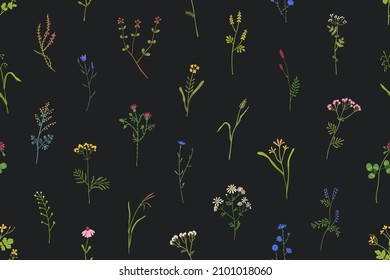 Flowers pattern. Seamless floral background with wildflowers print. Repeating botanical design for fabric and wrapping. Wild meadow plants texture. Colored flat vector illustration for decoration