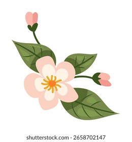 Flowers peaches flat vector illustration