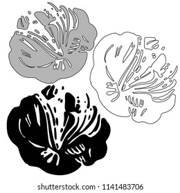 Flowers peonies in black and white style. In black and white style. Can be used for printing on paper, stickers, badges, bijouterie, tattoo.