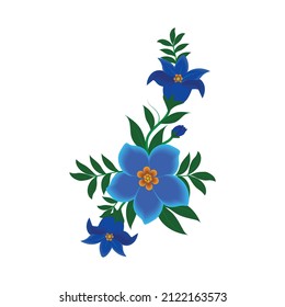 Flores Periwinkle. Ilustración vectorial eps10. Dibujo manual. Sobre un fondo blanco