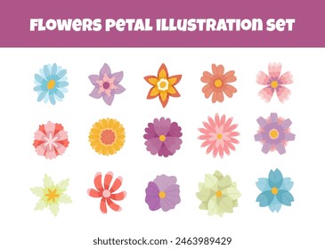 Flowers petal element illustration set