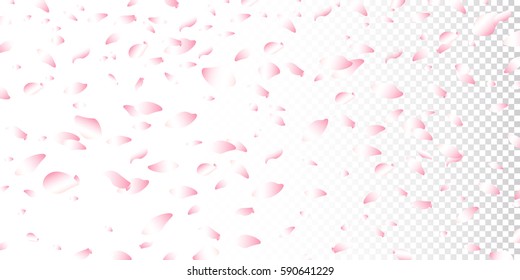 Flowers petals blossom falling  on transparent background.                    
For Wedding, Valentine`s, Women Day template and cosmetic shop.
Pink floral flying. 
Vector illustration