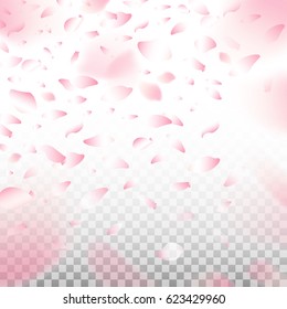 Flowers petals blossom falling  on transparent background.                    
For Wedding, Valentine`s, Women Day template and cosmetic shop.
Pink floral flying. 
Vector illustration