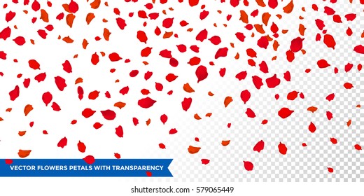 Flowers petals confetti falling on vector transparent background. Wedding, Women day or Valentine love red floral roses blossoms flying in wind whirl backdrop.