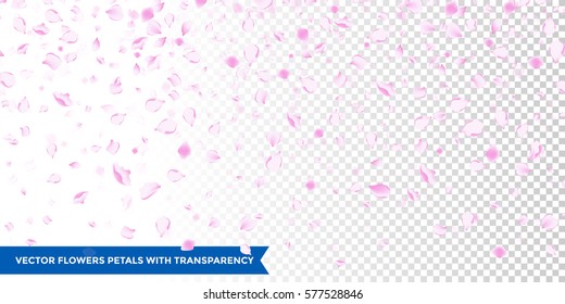 Flowers petals falling on vector transparent background. Wedding, Valentine or Women day pink floral blossoms flying in wind whirl backdrop