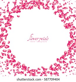 Flowers petals falling on white background. Vector illustration.