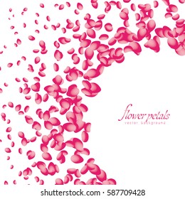 Flowers petals falling on white background. Vector illustration.