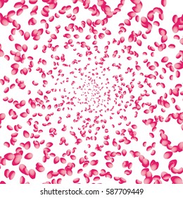Flowers petals falling on white background. Vector illustration.