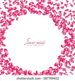 Flowers petals falling on white background. Vector illustration.