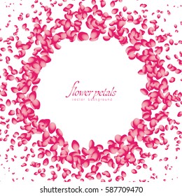 Flowers petals falling on white background. Vector illustration.