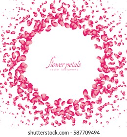Flowers petals falling on white background. Vector illustration.