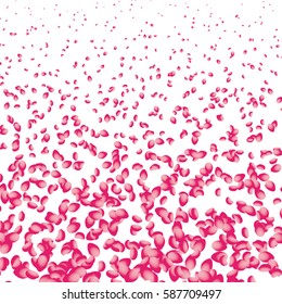 Flowers petals falling on white background. Vector illustration.