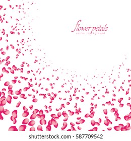 Flowers petals falling on white background. Vector illustration.