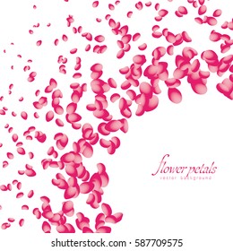 Flowers petals falling on white background. Vector illustration.