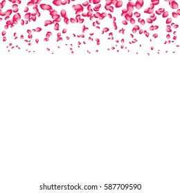Flowers petals falling on white background. Vector illustration.