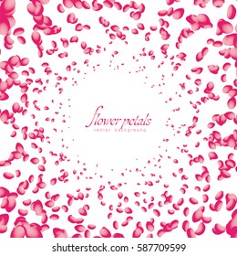 Flowers petals falling on white background. Vector illustration.