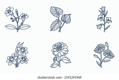 Flowers and petals icon set