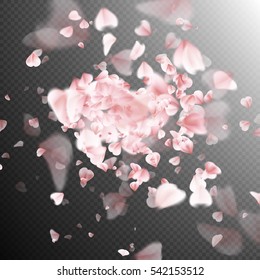 Flowers petals. Sakura flying petals isolated on transparent background. EPS 10 vector file included