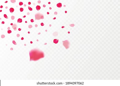 Pétalos de flores. fondo de primavera. pétalos voladores sobre fondo rosa suave. luz y sombra. Vector.