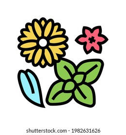 vector de icono de color de la fitoterapia de flores. signo de fitoterapia de flores. ilustración de símbolo aislado