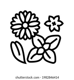 Blumen phytotherapie Linie Symbol Vektorgrafik. Blumen Phytotherapie Schild. isoliertes Kontursymbol