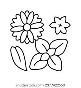 flowers phytotherapy line icon vector. flowers phytotherapy sign. isolated contour symbol black illustration