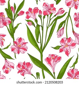 Flowers pink vector line pattern. Alstroemeria. Wedding decorations. 