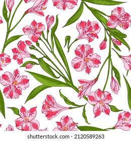 Flowers pink vector line pattern. Alstroemeria. Wedding decorations. 