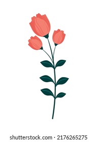 flowers plant flora icon isolated