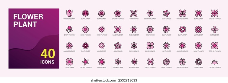 Flowers plant line colorful icons set. Collection of Blooming plants - rose, sunflower, dandelion, tulip, daisy bouquet and more. Editable line and filled color icon pack. Pixel perfect.